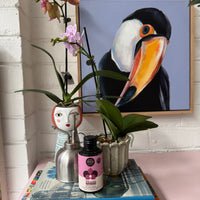 Ellen Designs | Lady Blush Planter-Vase