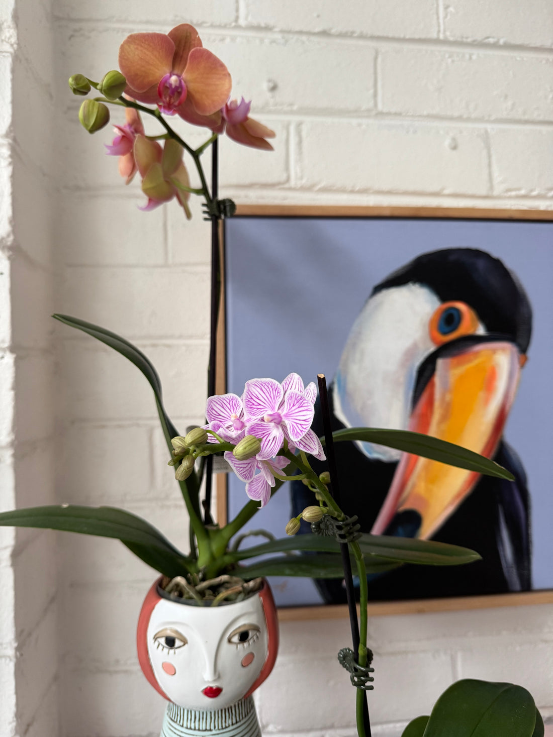 Ellen Designs | Lady Blush Planter-Vase