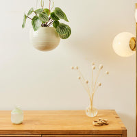 A&C Spherical Hanging Planter