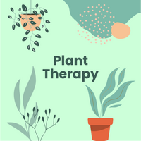 PLANT THERAPY WORKSHOP