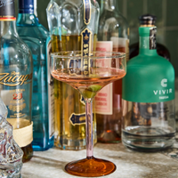 Marshmallow and Marmalade Margarita Glass | set of 2