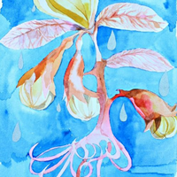 Meditation and Watercolour workshop with Christina Darras