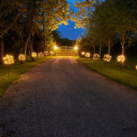 Solar Dandelion Light - Weatherproof Garden Feature