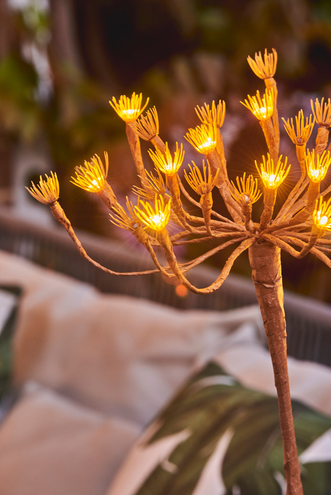 Solar Wild Fennel Garden Lighting