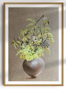 Wattle, Banksia and Macranda COPY | Sarah Hankinson