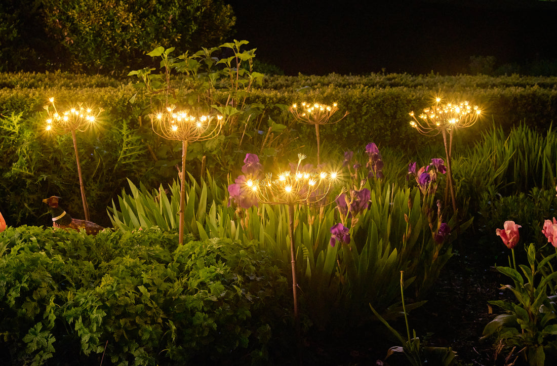 Solar Wild Fennel Garden Lighting