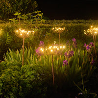 Solar Wild Fennel Garden Lighting