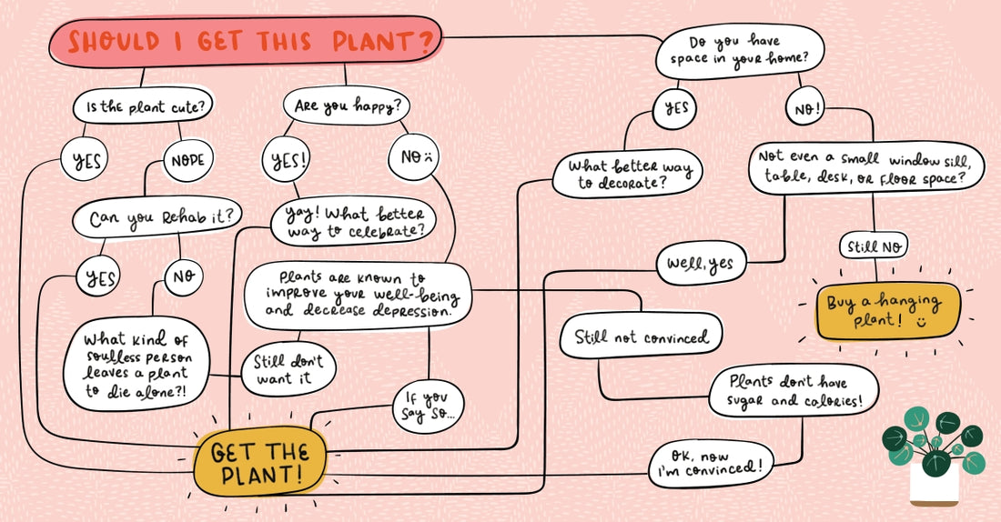 Crazy Plant Lady | Isabel Serna