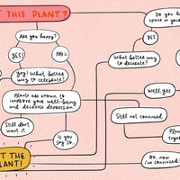 Crazy Plant Lady | Isabel Serna