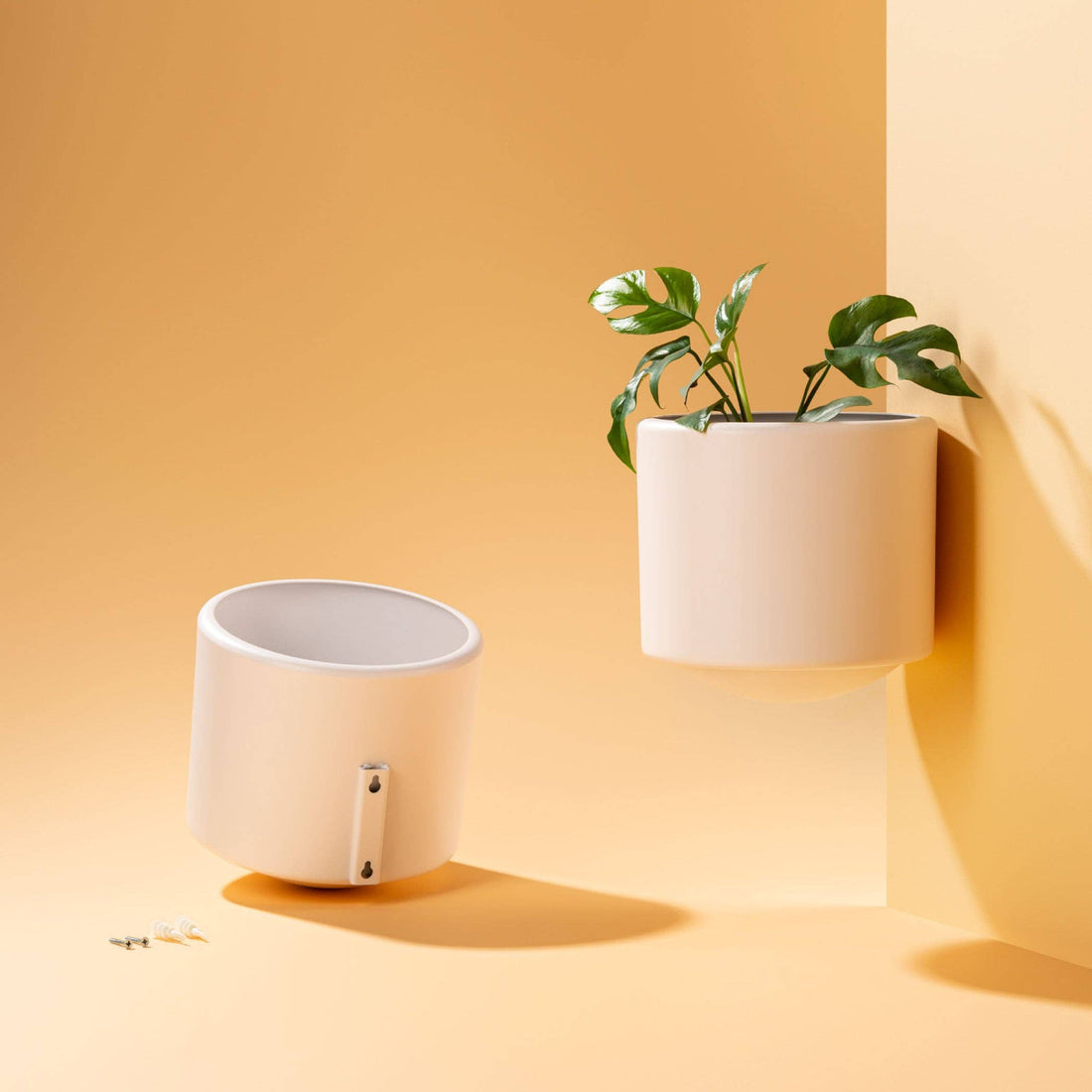 Botanica - Skye Wall