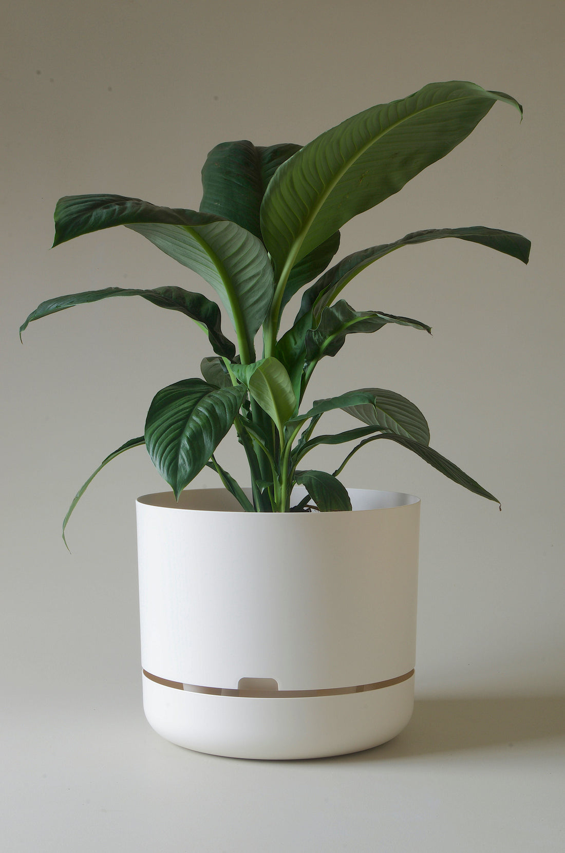 375mm in white linen