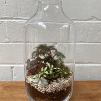 Hamia Capsule Terrarium | 13cm x 25cm