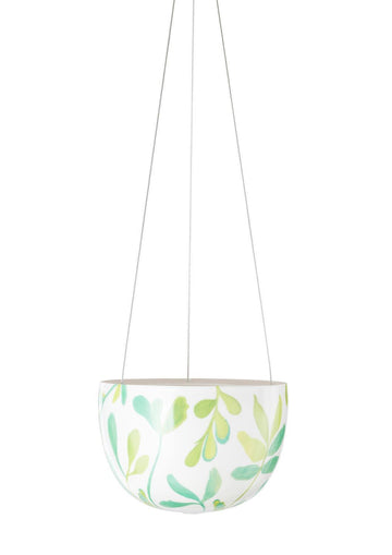 Angus & Celeste Green Zamia Palm Hanger