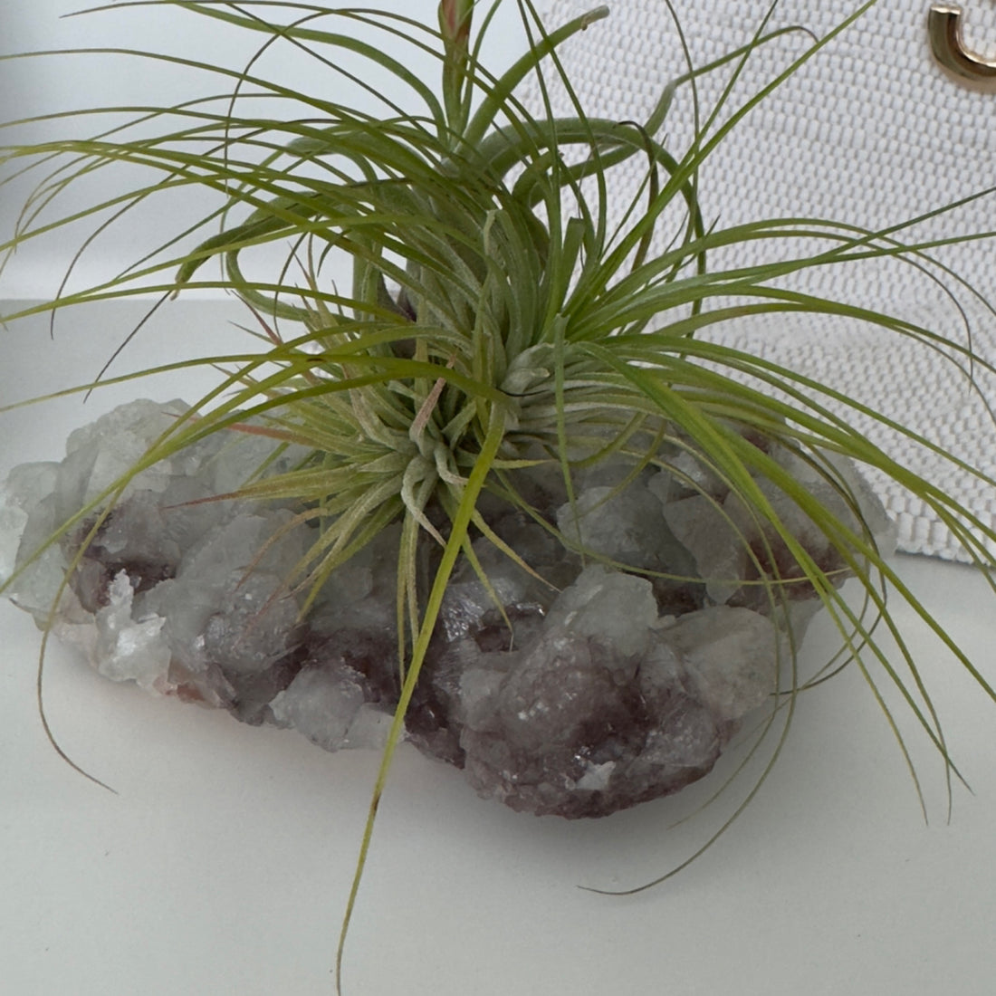 G | Crystal Airplant