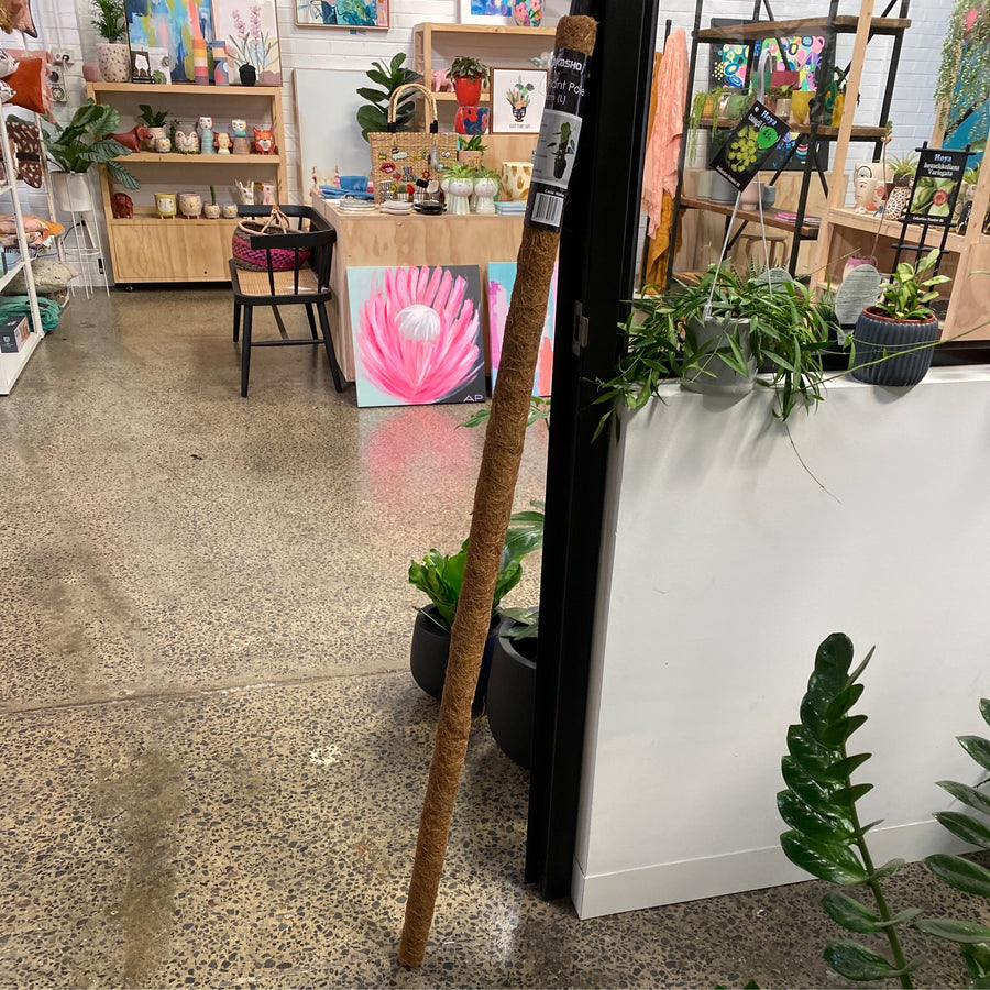 Coco Plant Pole 150cm