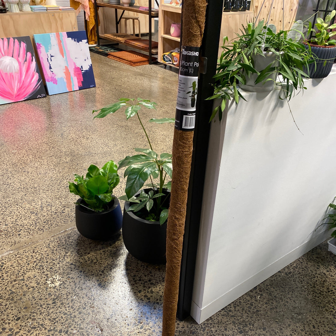 Coco Plant Pole 120cm
