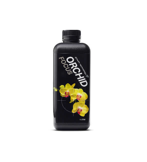 ORCHID FOCUS | Growth Technologies | 1L