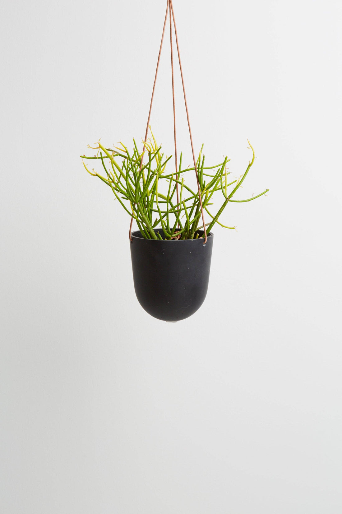 Block Colour Hanging Pot | Midnight