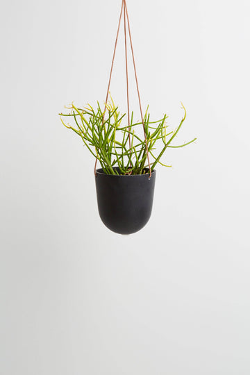 Block Colour Hanging Pot | Midnight