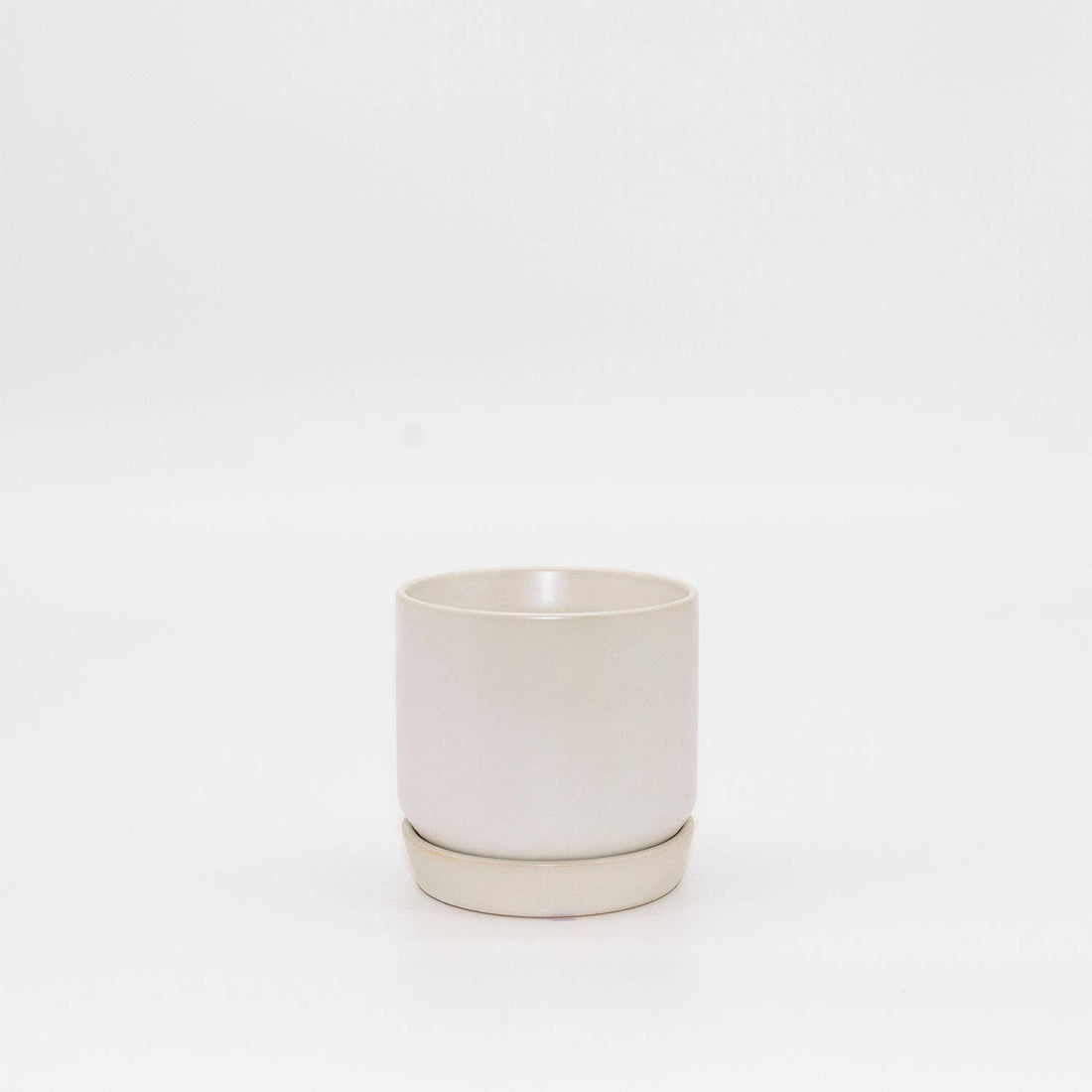 Oslo Planter | Mini | White | Potted