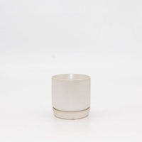 Oslo Planter | Mini | White | Potted