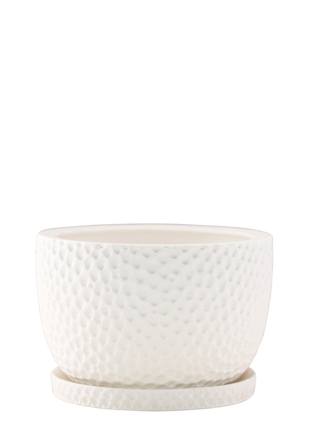 A&C Embossed plant pot