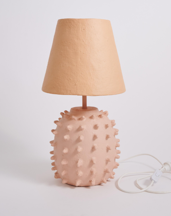 Rambutan Paper Mache Lamp