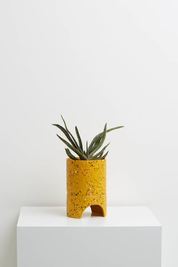 Archie Pot | Golden Terrazzo