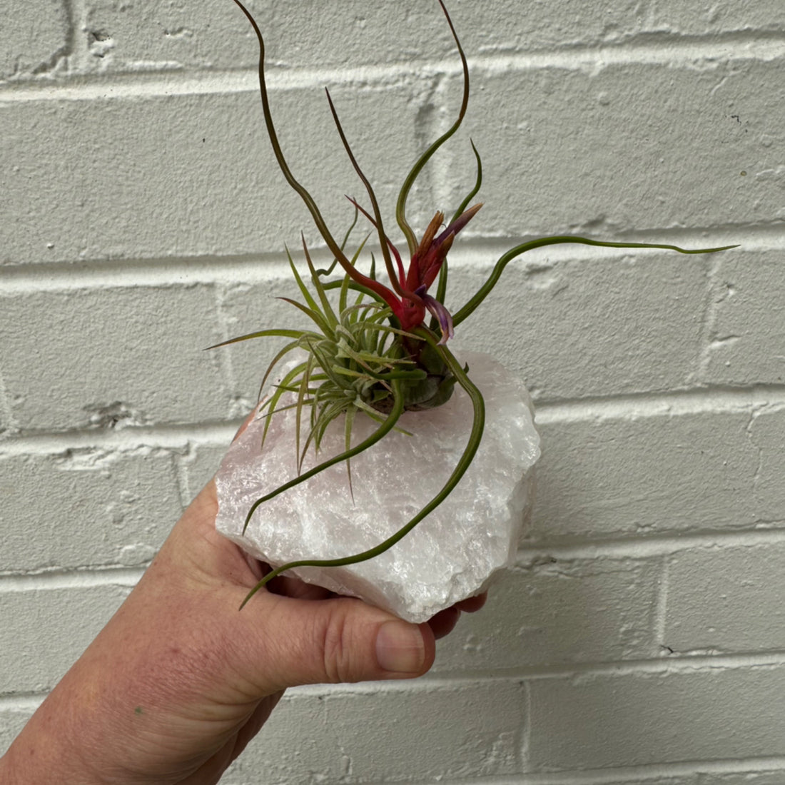 E | Crystal Airplant