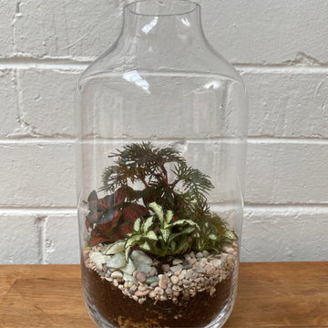 Hamia Capsule Terrarium | 13cm x 25cm