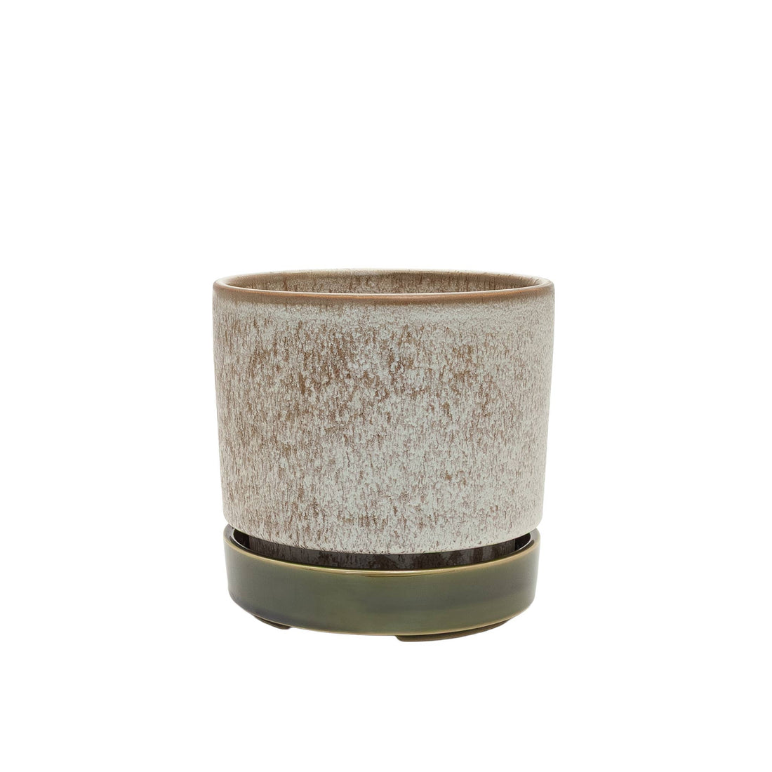 Pollock Planter | Medium | Limestone | Potted