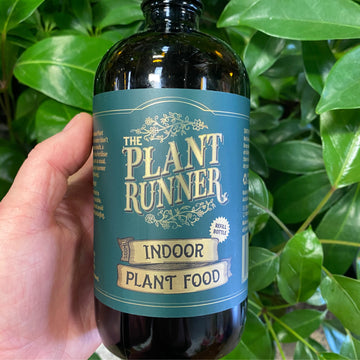 Plant Runner Indoor Plant Food | 500ml