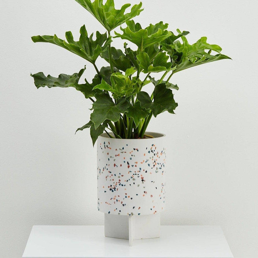 Capra Designs - Tri Planter