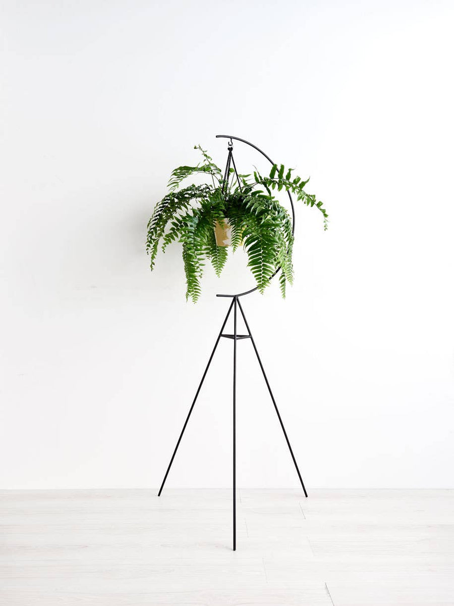 Crescent Plant Stand - Black