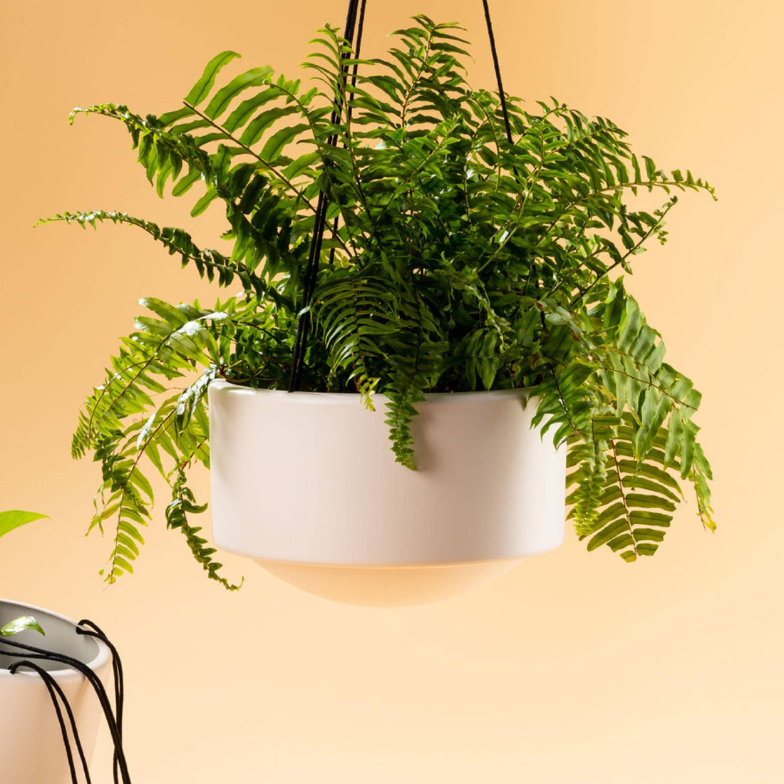 Skye Hanger Large by Botanica