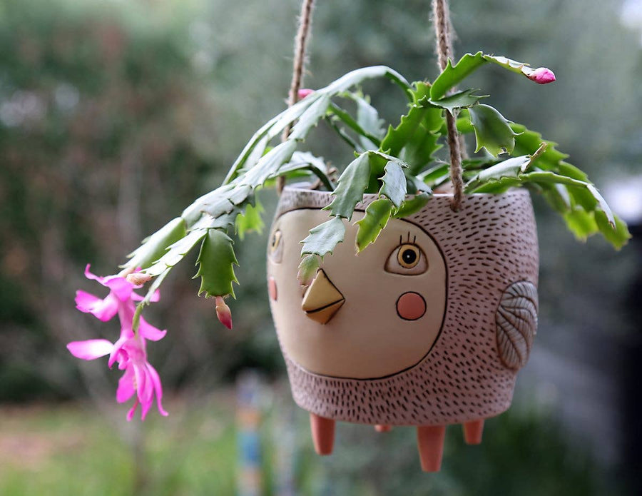 Ellen Designs | Birdie Hanging Planter