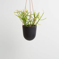 Block Colour Hanging Pot | Midnight