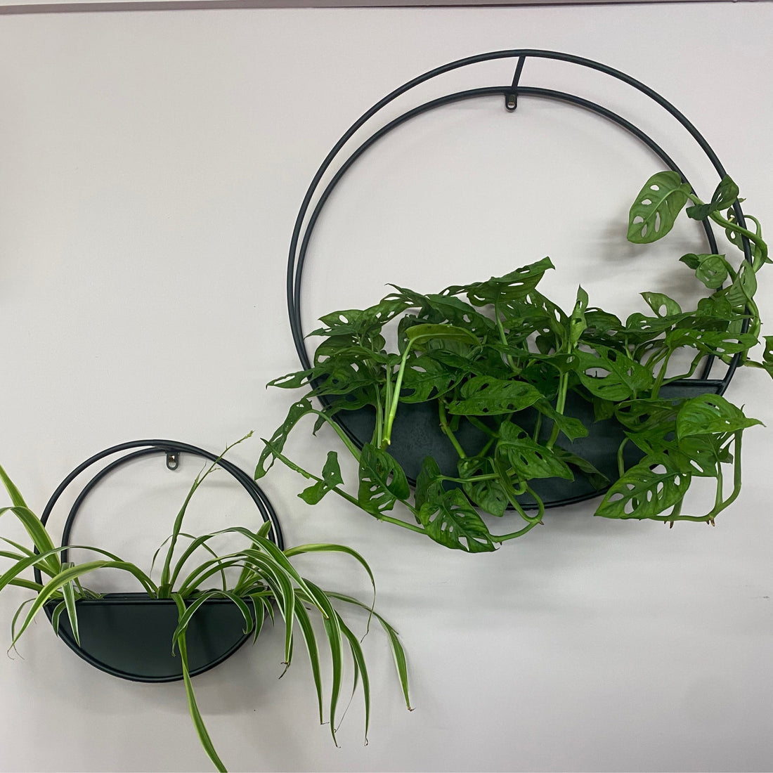 Round Wall Planter