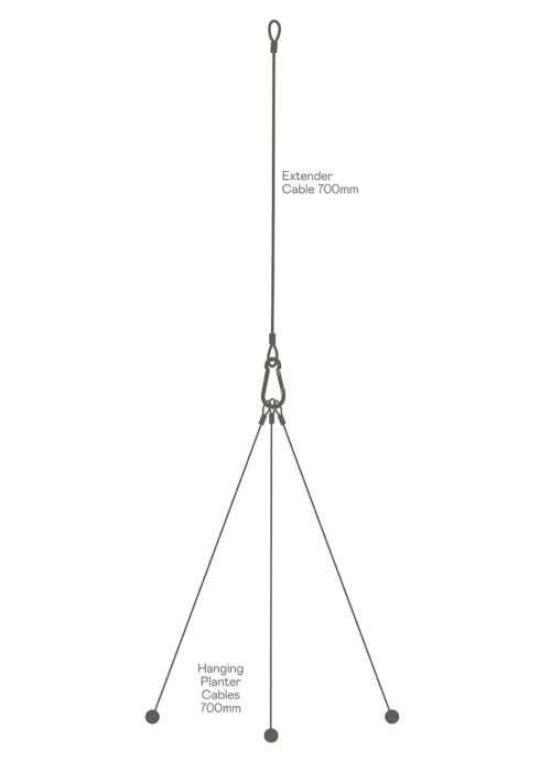 A&C Cable Set