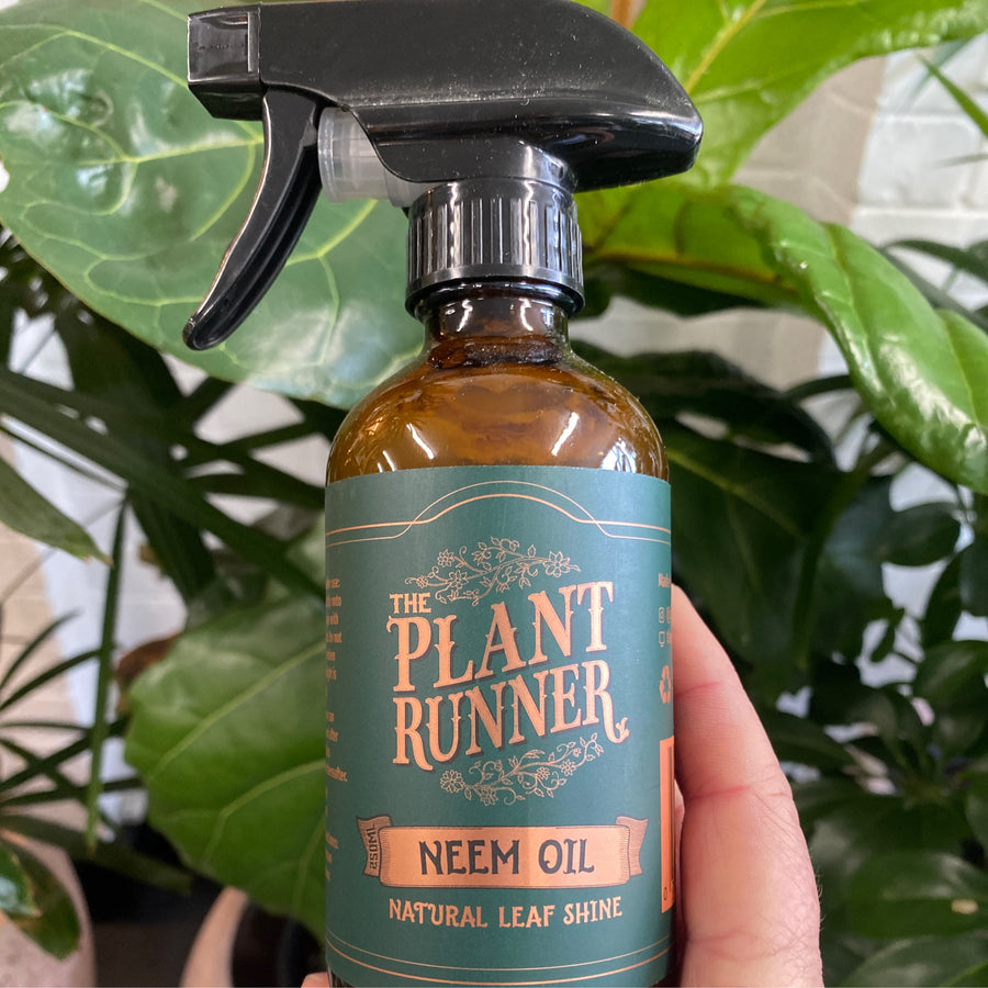 Plant Runner Neem Oil