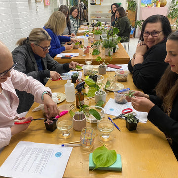 Propagation for Indoor Plants Workshop | 5:30-7:30pm Sat 11th Oct