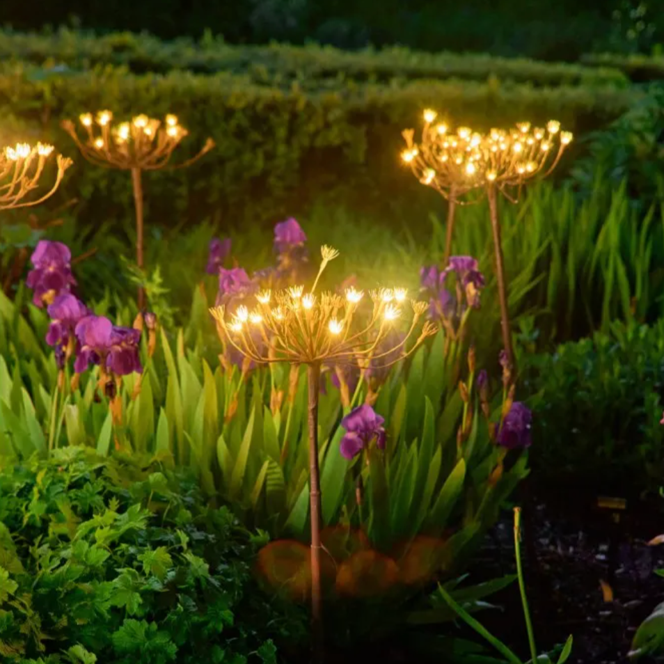 Solar Wild Fennel Garden Lighting