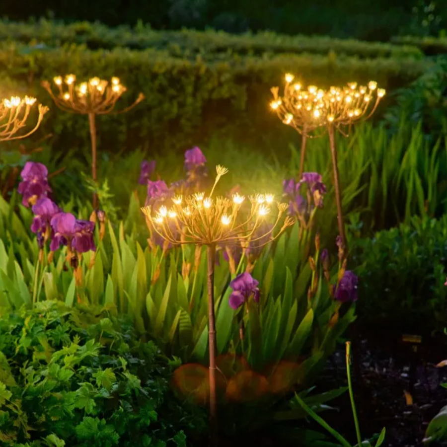 Solar Wild Fennel Garden Lighting