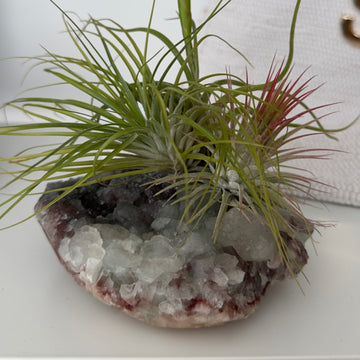 G | Crystal Airplant