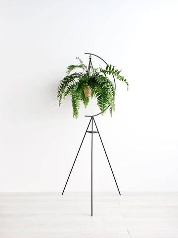 Crescent Plant Stand - Black