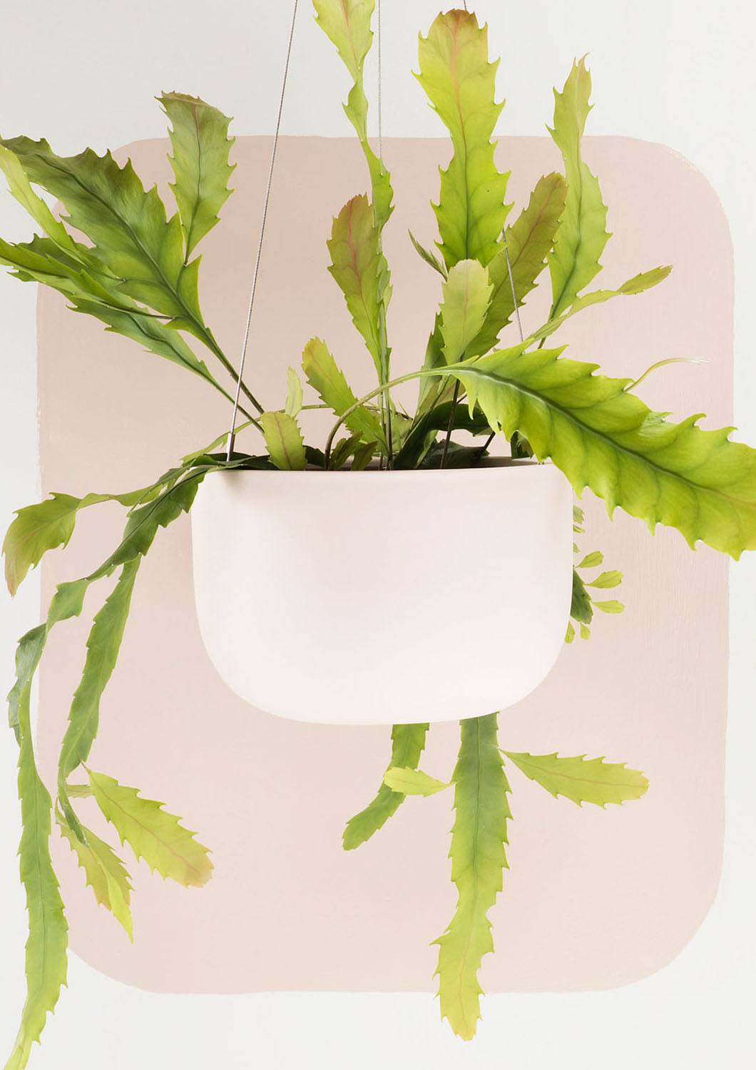 A&C Raw Earth Hanging Planter