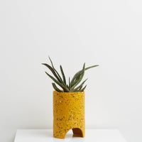 Archie Pot | Golden Terrazzo