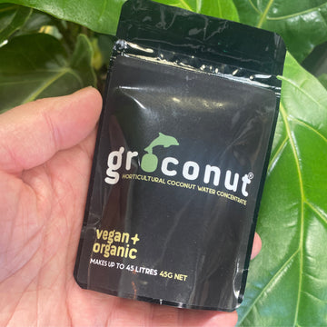 Groconut Horticultural Coconut Water Concentrate