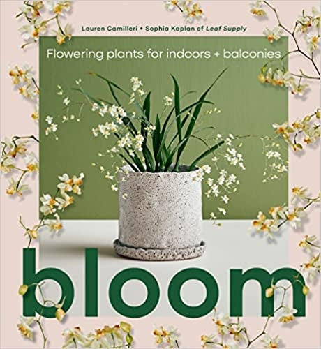 BLOOM Lauren Camilleri