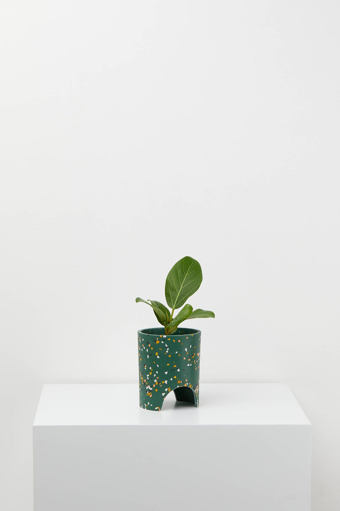 Archie Pot | Small | Emerald Terrazzo